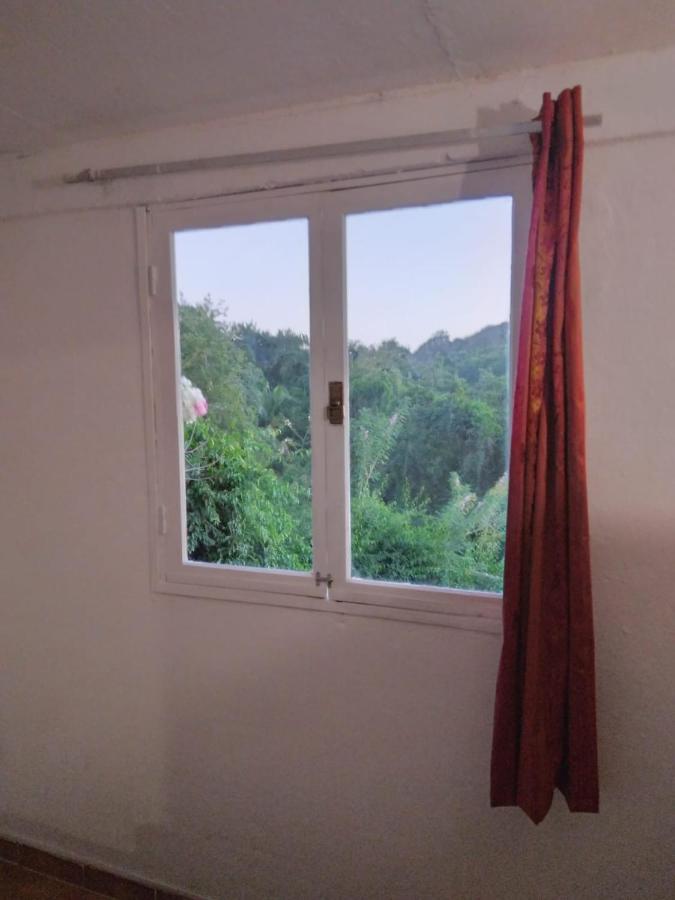 Appartement Au Jardin Fleuri à Sainte-Anne Extérieur photo