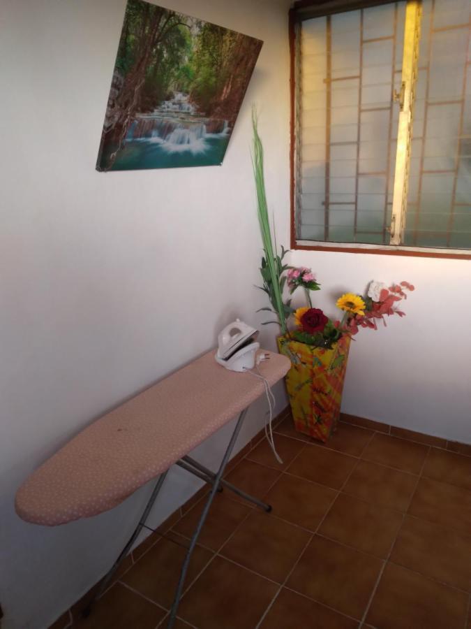 Appartement Au Jardin Fleuri à Sainte-Anne Extérieur photo